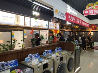 零售云C2M产品成品牌增量场,国庆伊莱克斯专供洗衣机增长900