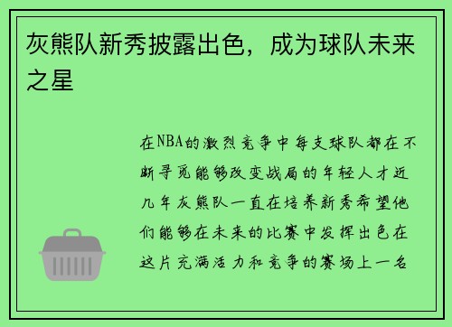 灰熊队新秀披露出色，成为球队未来之星